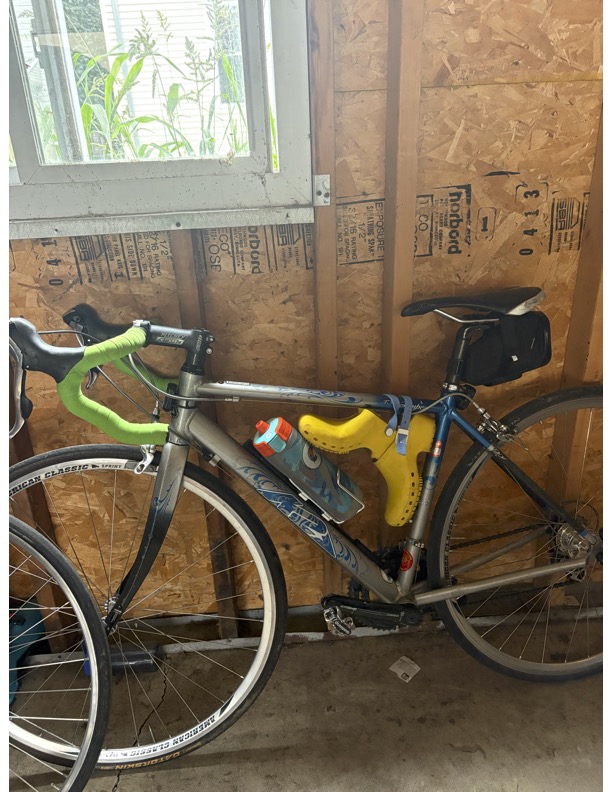2006 K2 T-Nine Tempest Road Bike