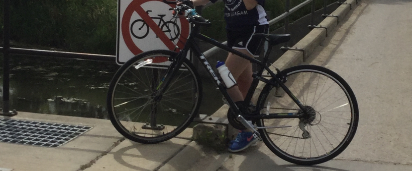 Trek FX2