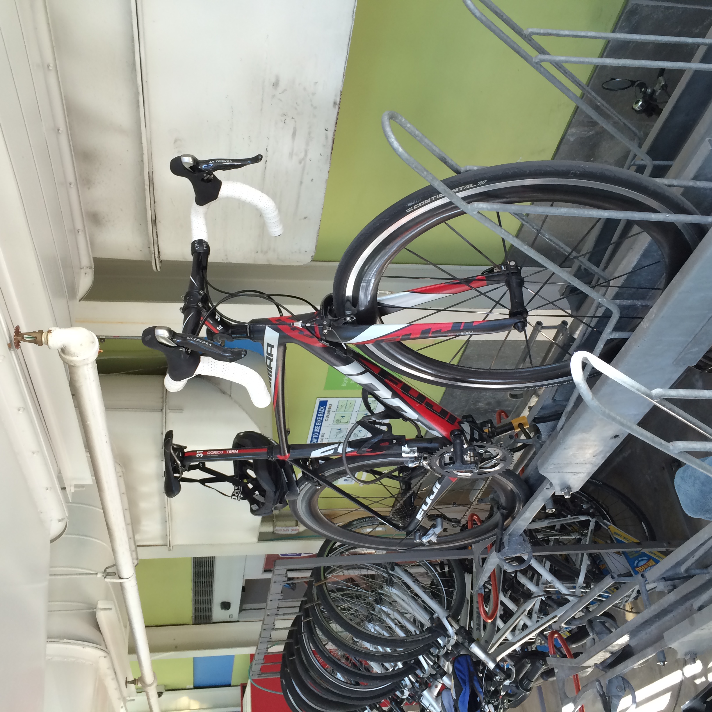 2013 fuji altamira