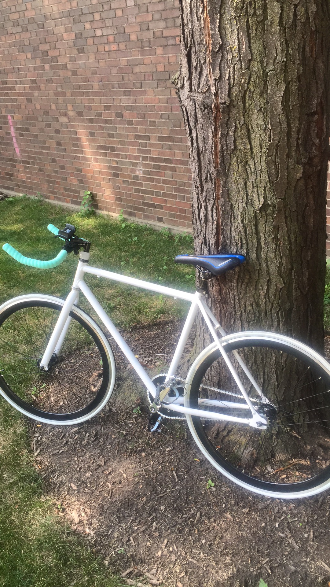 Thruster Fixie