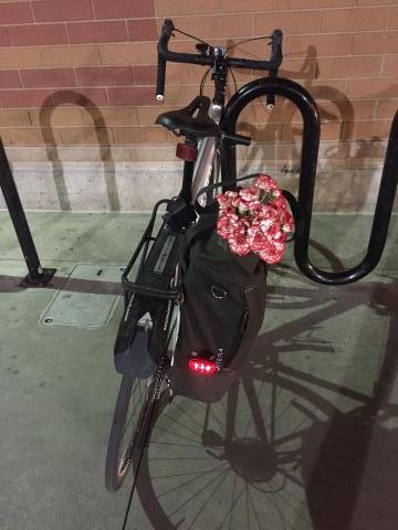 Specialized Dolce