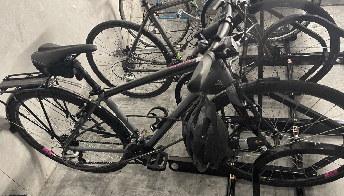 Nishiki Manitoba