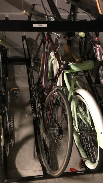 Schwinn