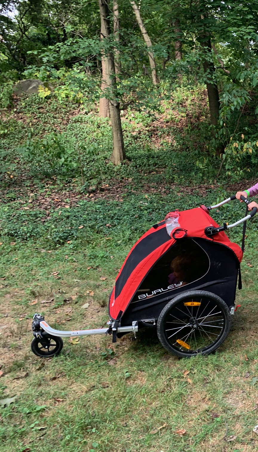 Burley Honey Bee bike trailer