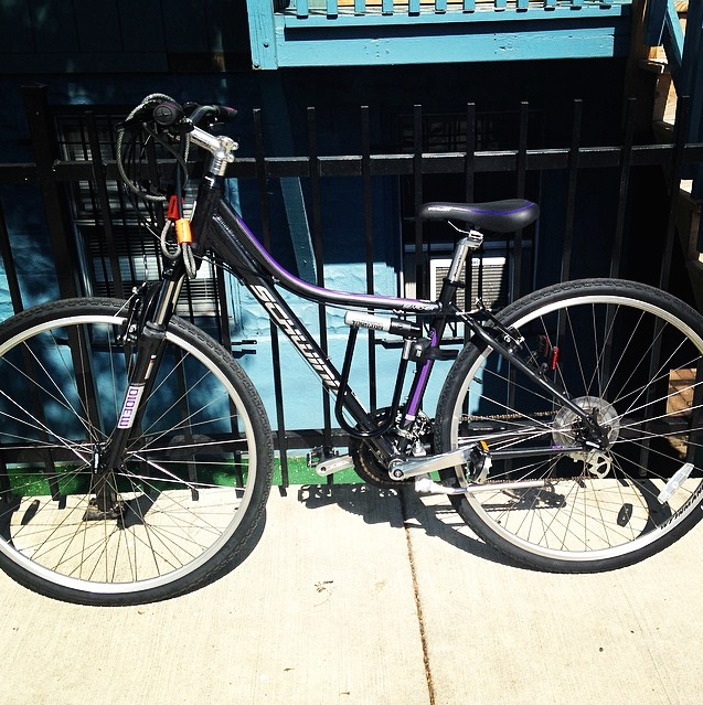 Schwinn Searcher 4