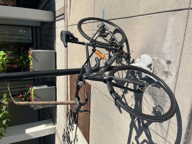 Trek Domane AL 2