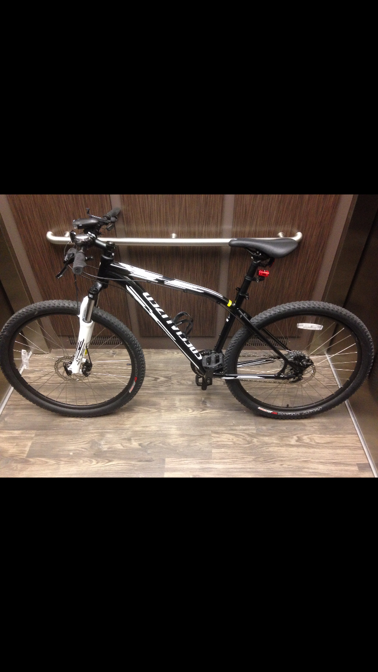 Specialized Pitch 650B