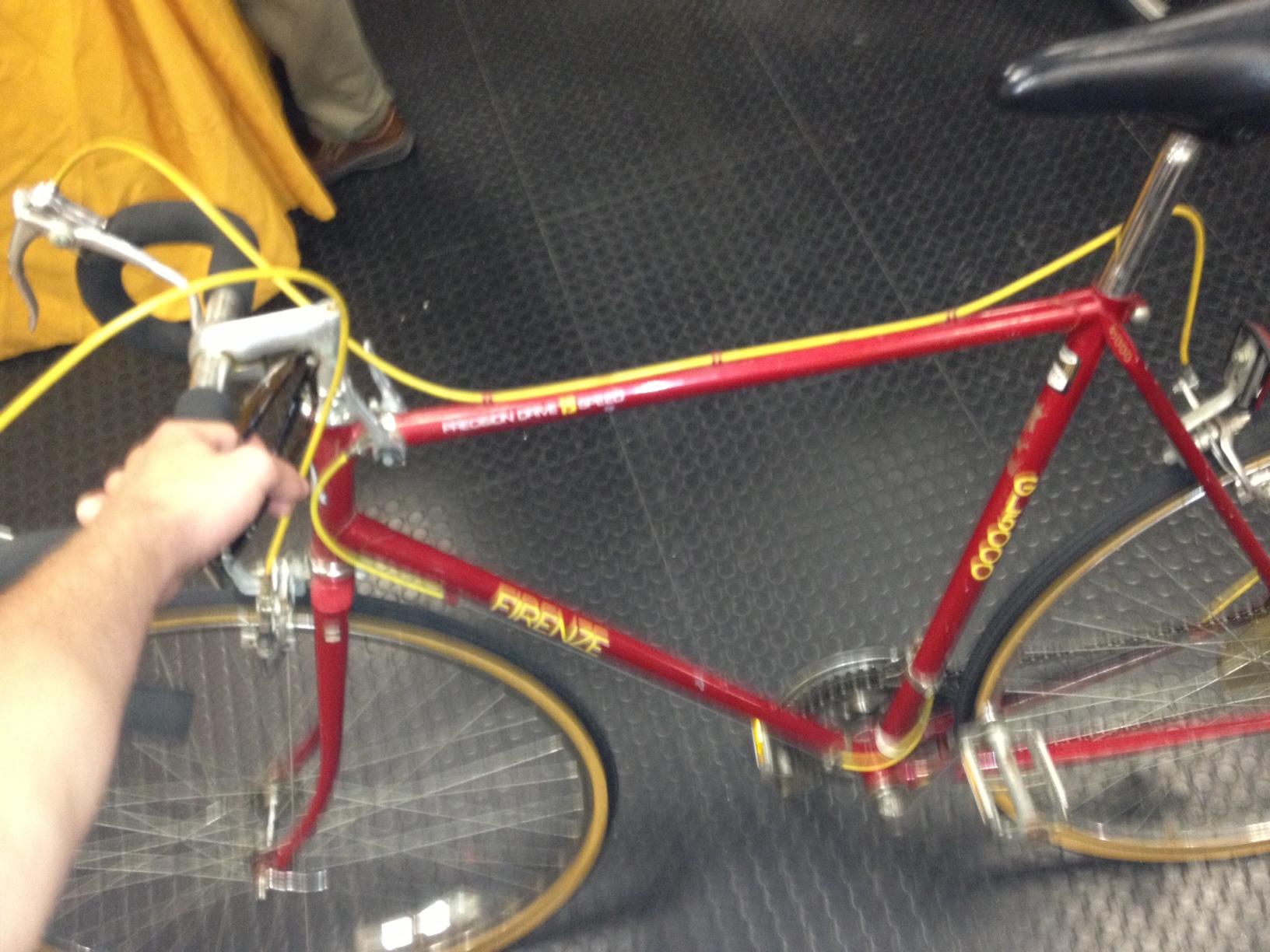 Firenze gl5000