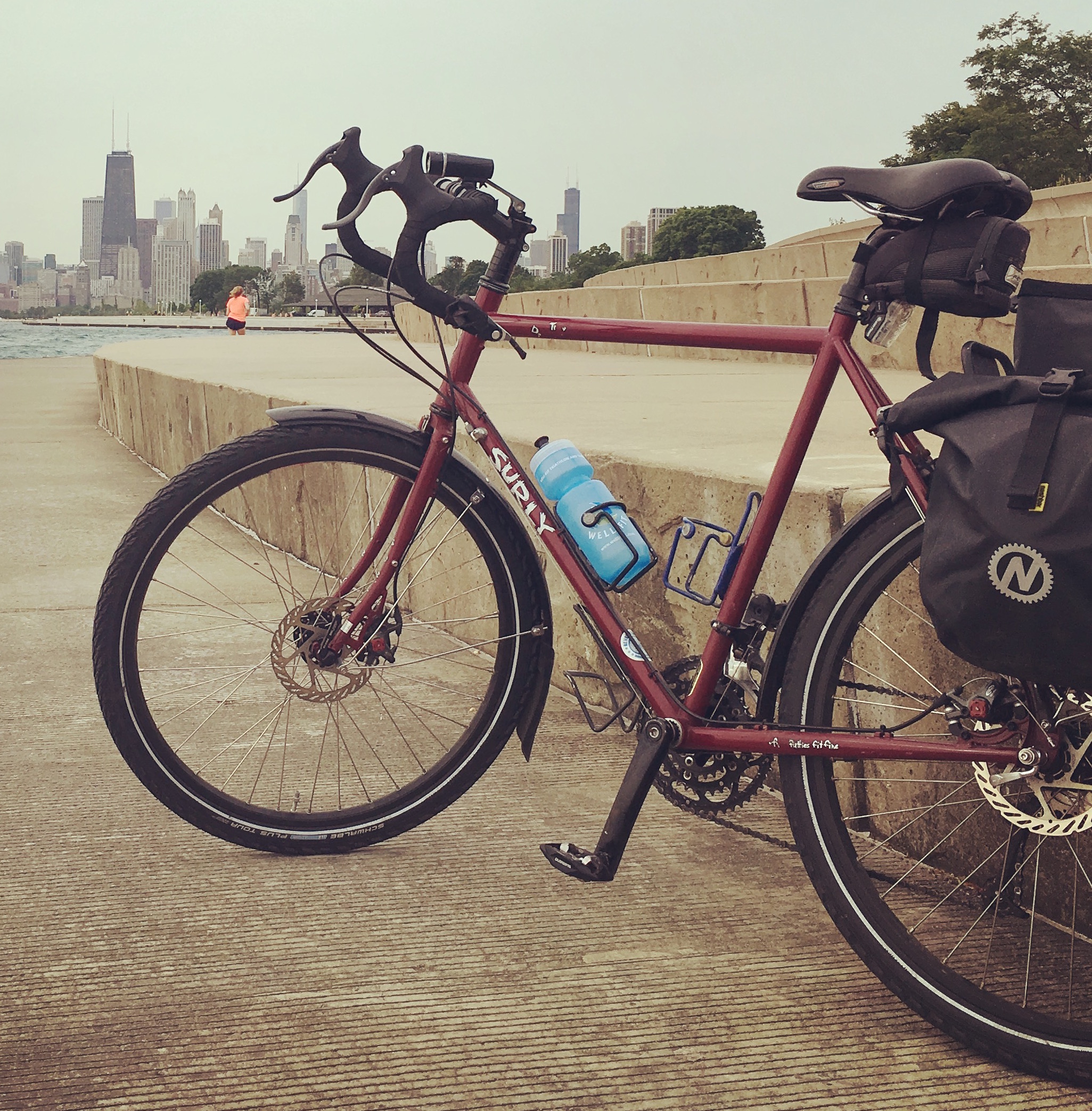 Surly Disc Trucker