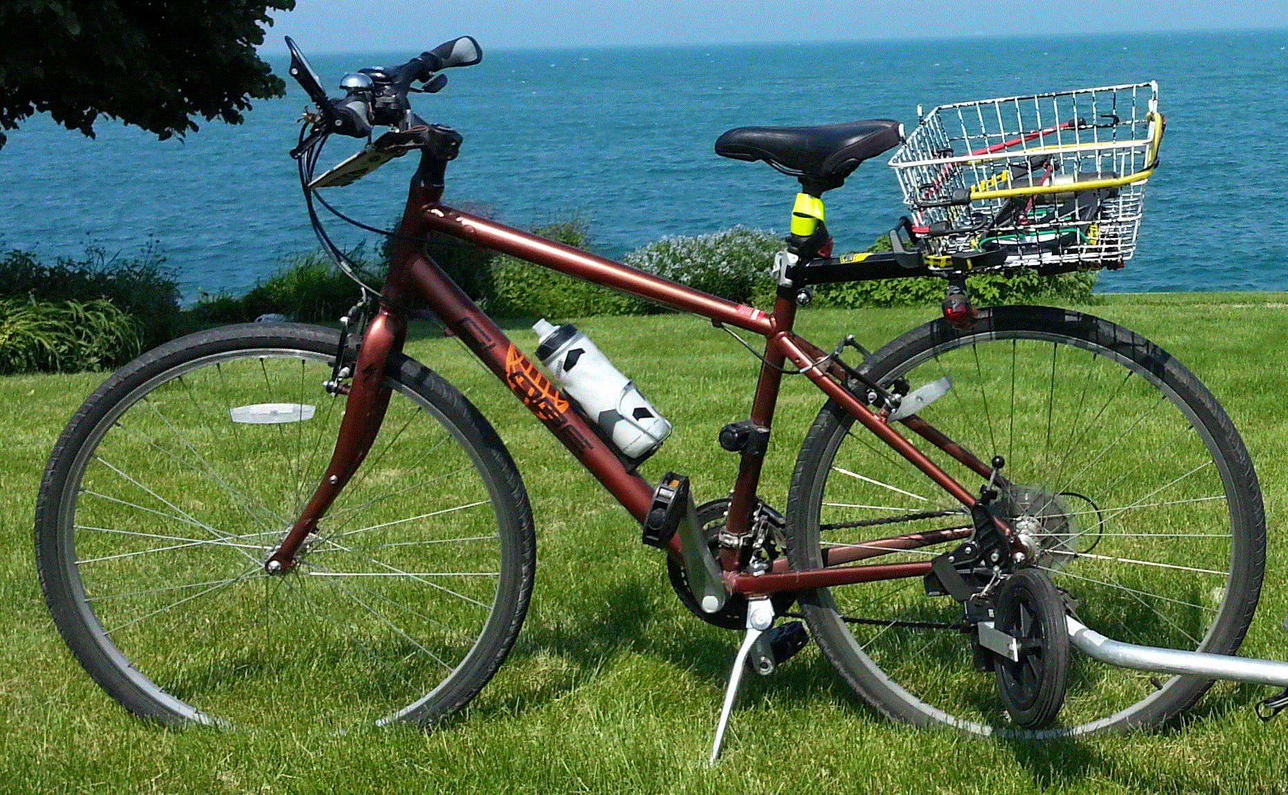 Specialized Globe