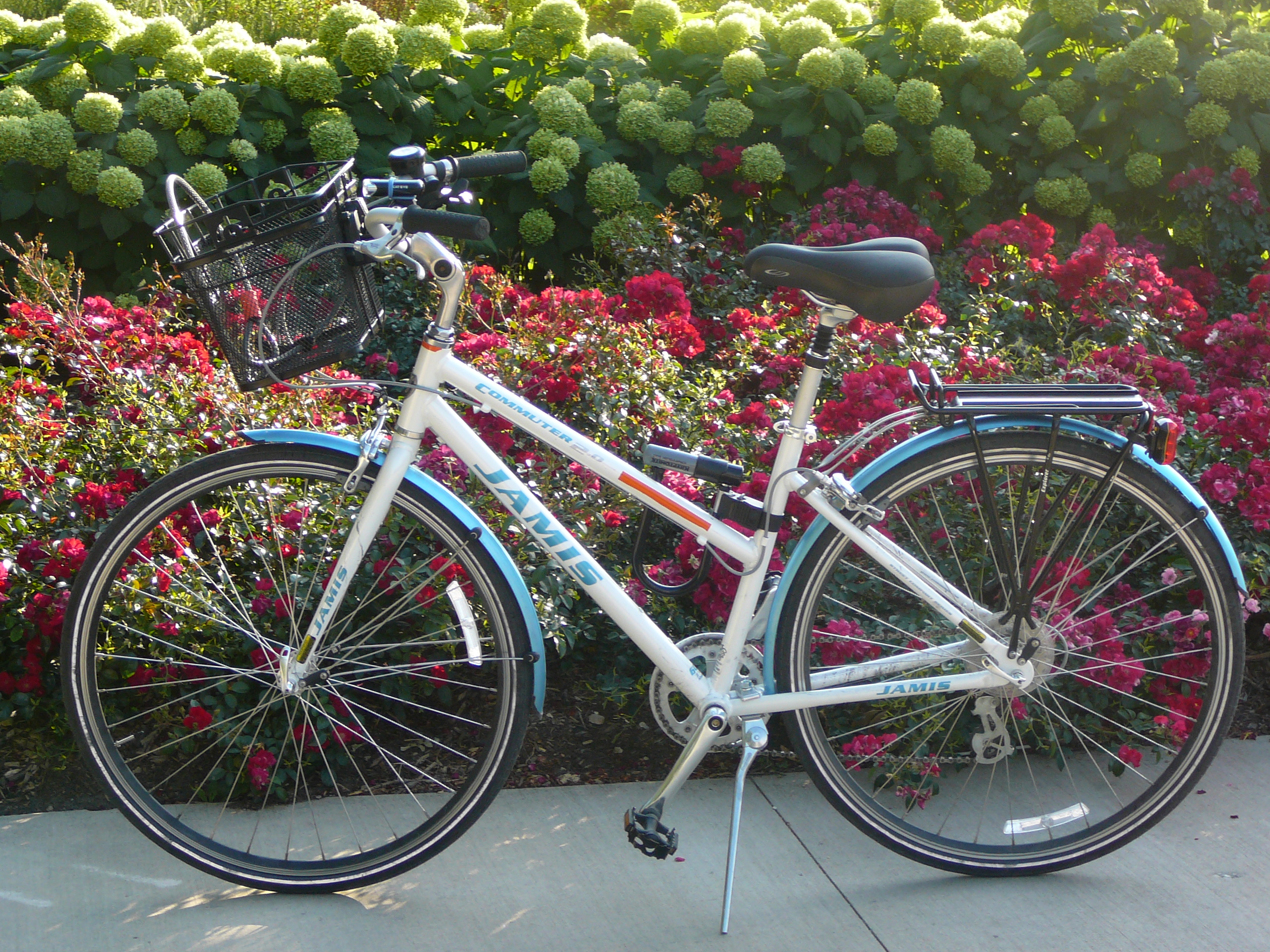 2008 Jamis Commuter 2.0