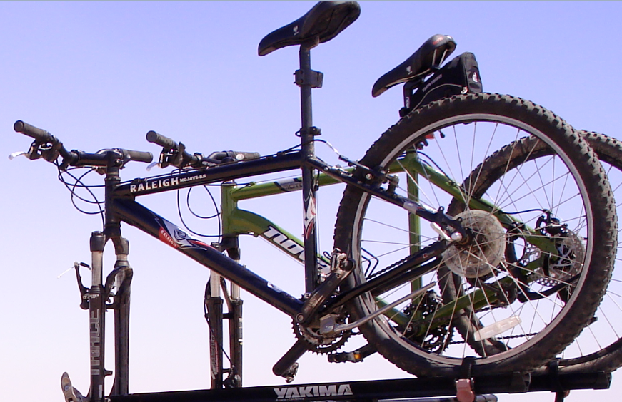 2006 Raleigh Mojave 5.5