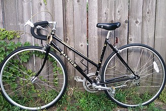 Raleigh Pursuit 12 speed