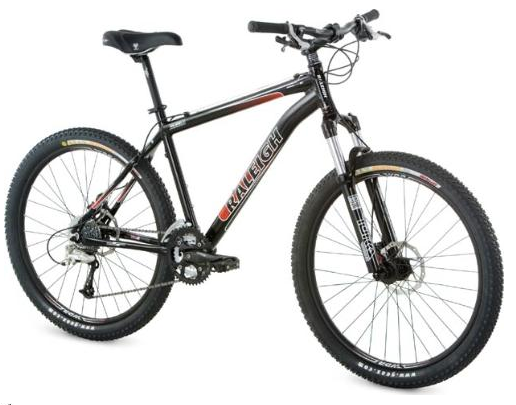 Raleigh Mojave 8.0