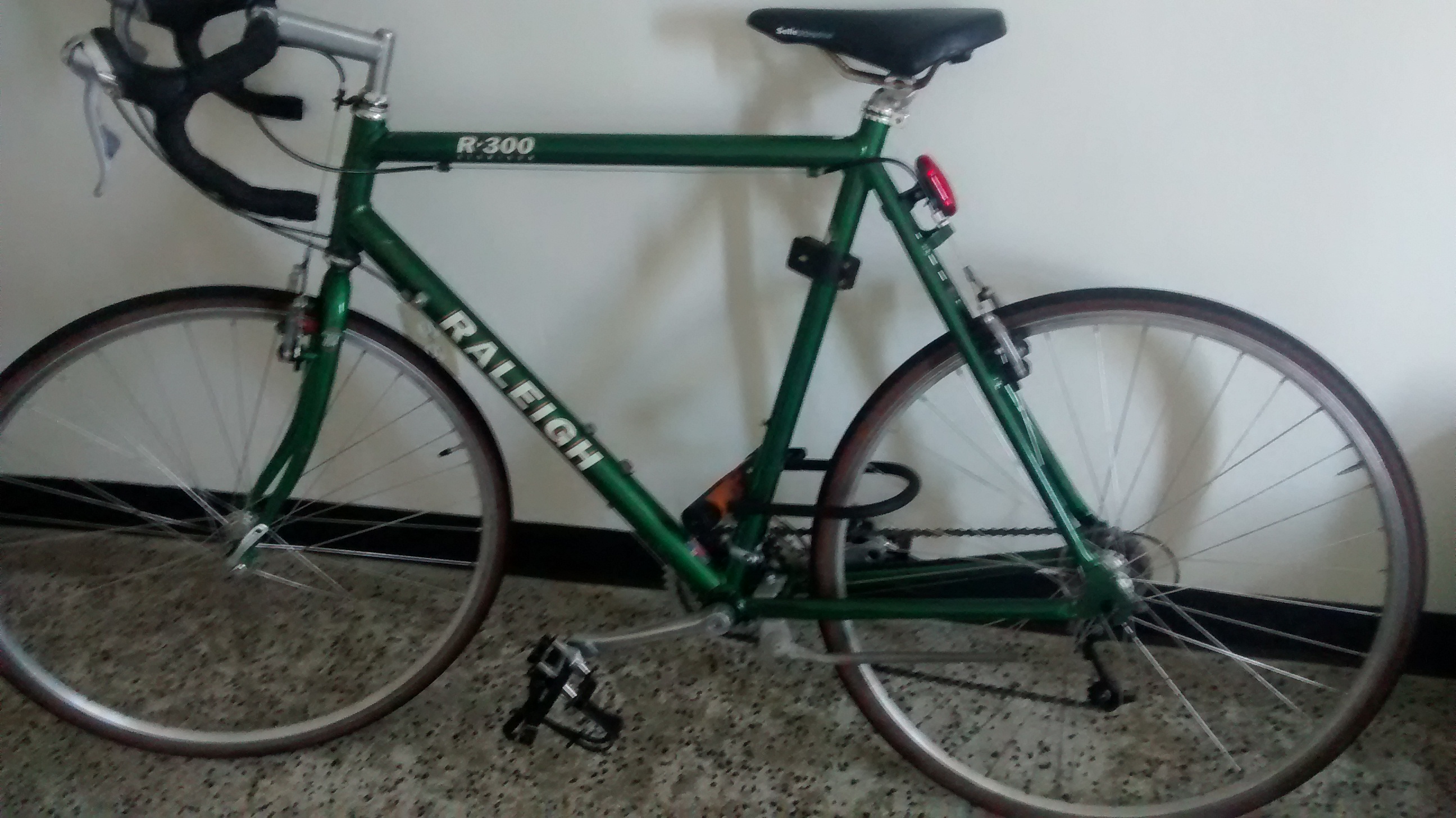 Raleigh R300