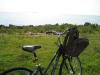 Fuji Crosstown 3.0 (Women's comfort bike)