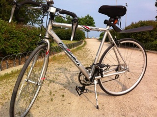 Diamondback