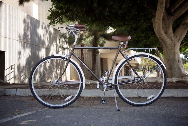 Schwinn "Coffee"
