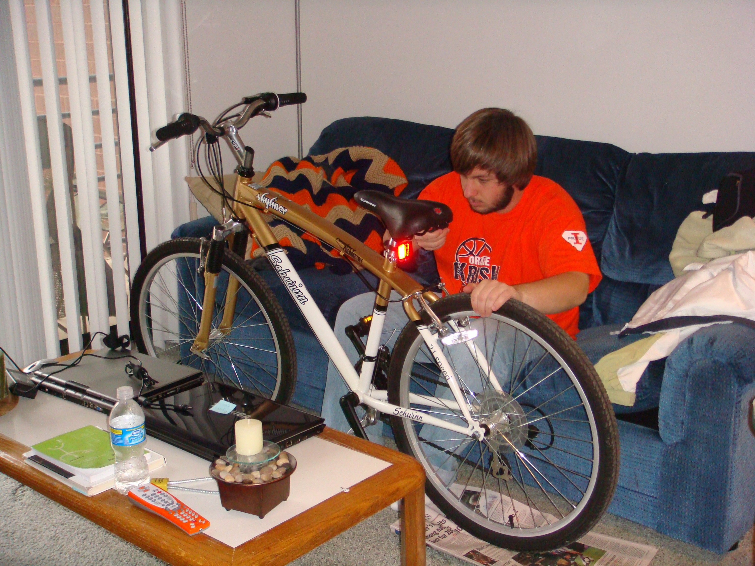 Schwinn Skyliner