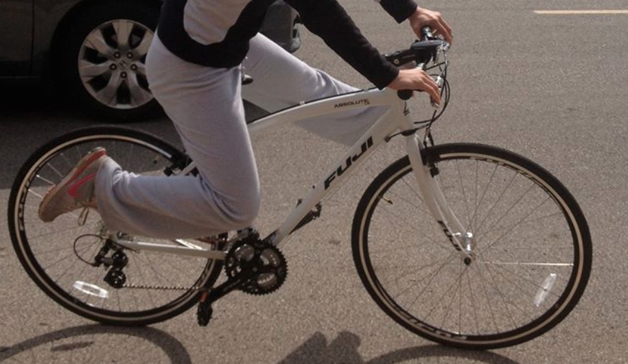 Women's Fuji Absolute