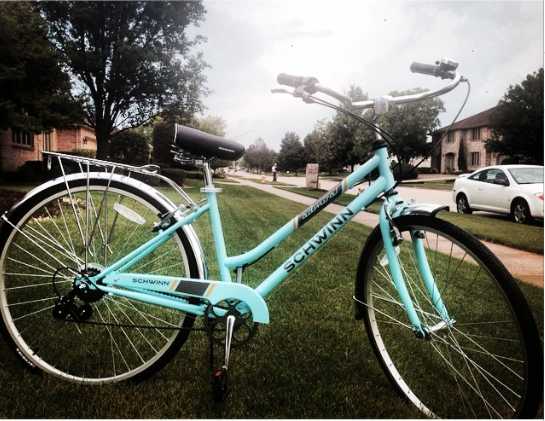 Schwinn 700 c