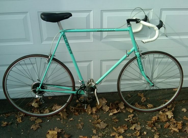 Schwinn Traveler
