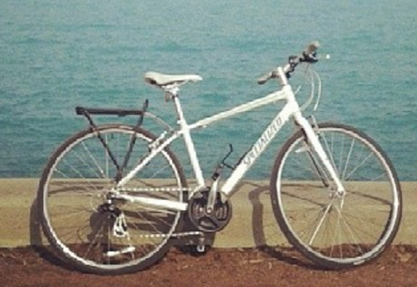 Specialized Vita Women's Bike