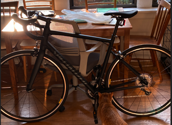 2020 Specialized Allez