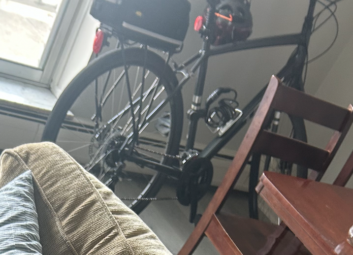 Trek FX Disc