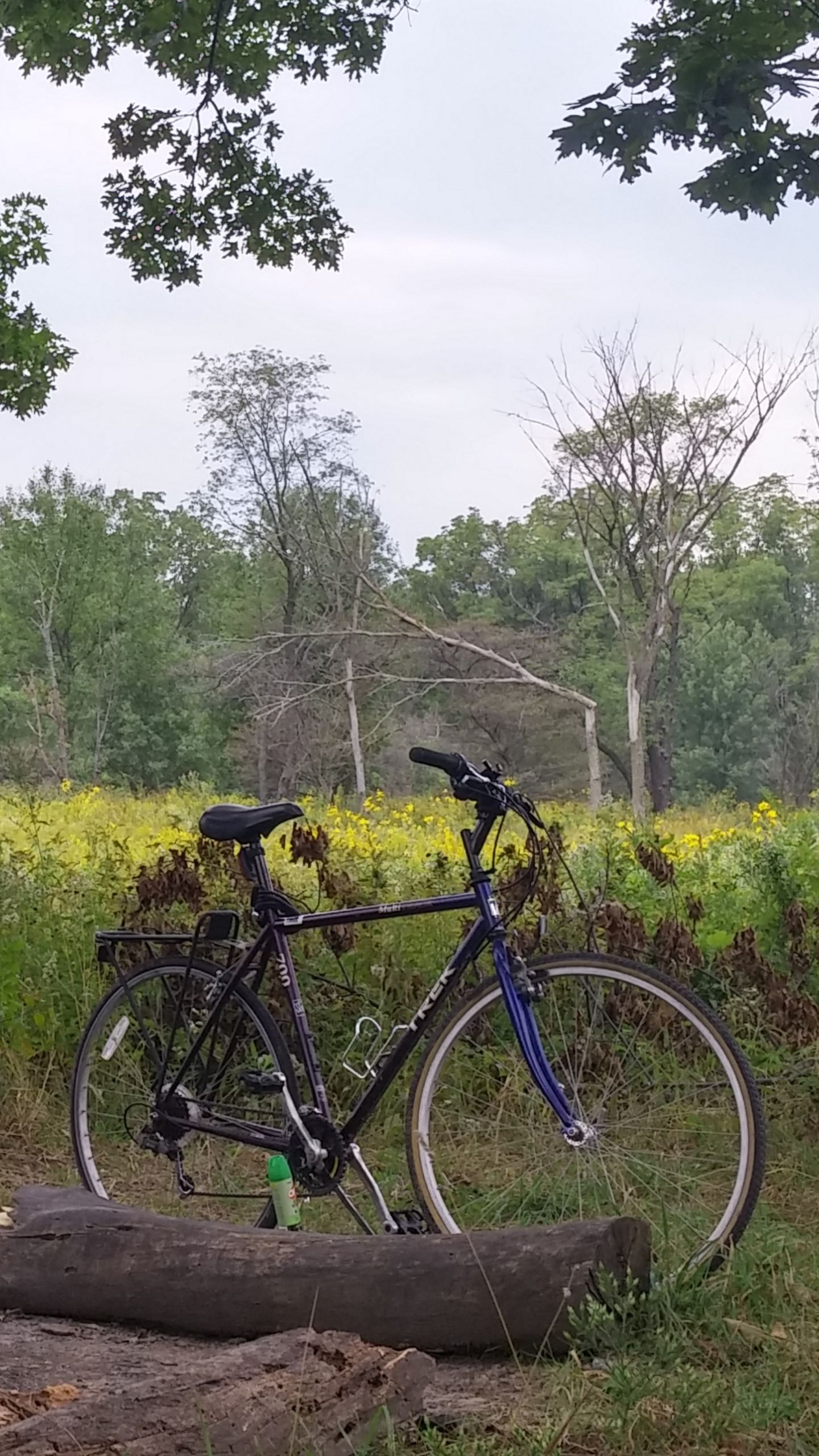 Trek MultiTrack 700