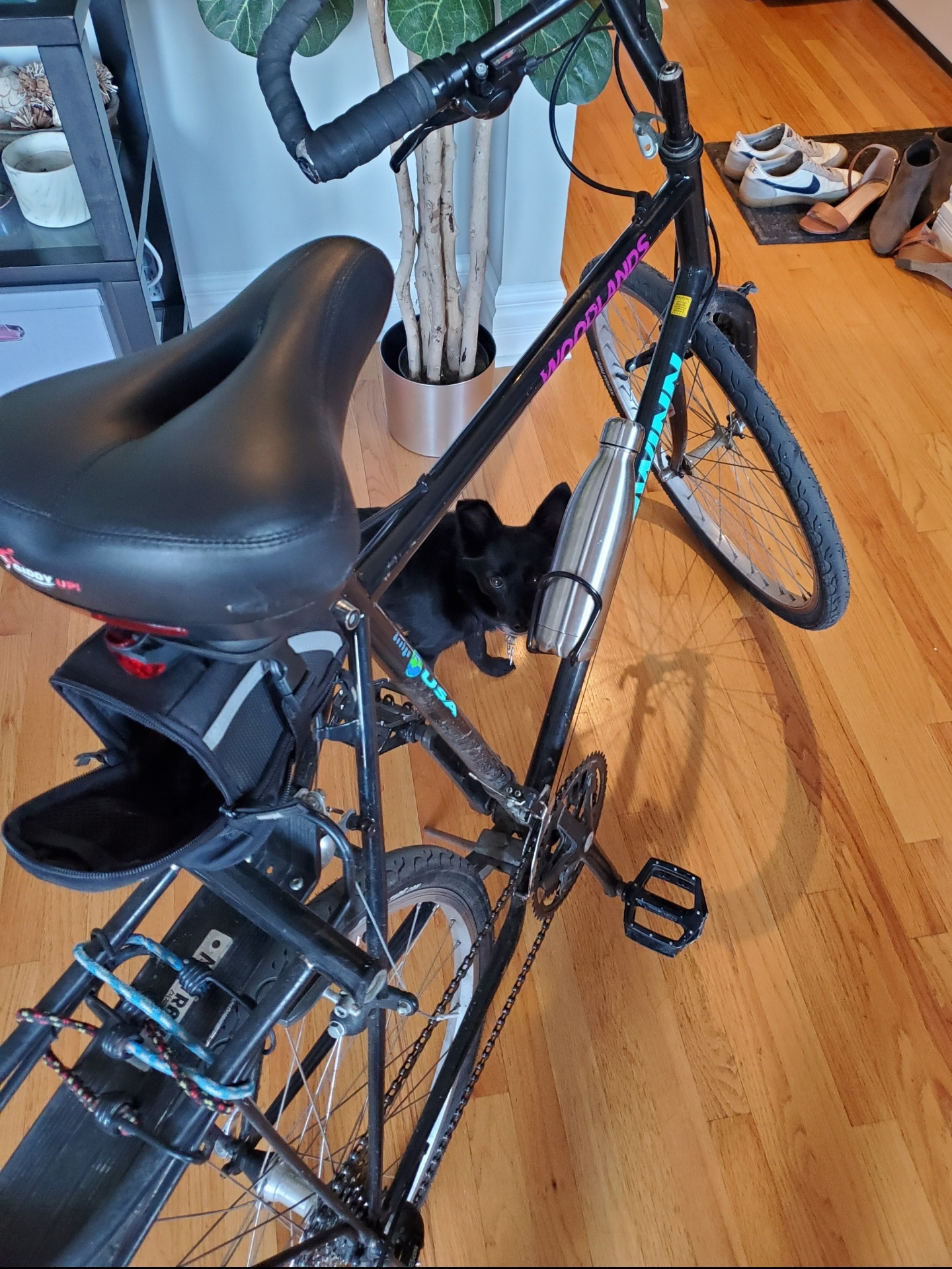 Schwinn Woodlands