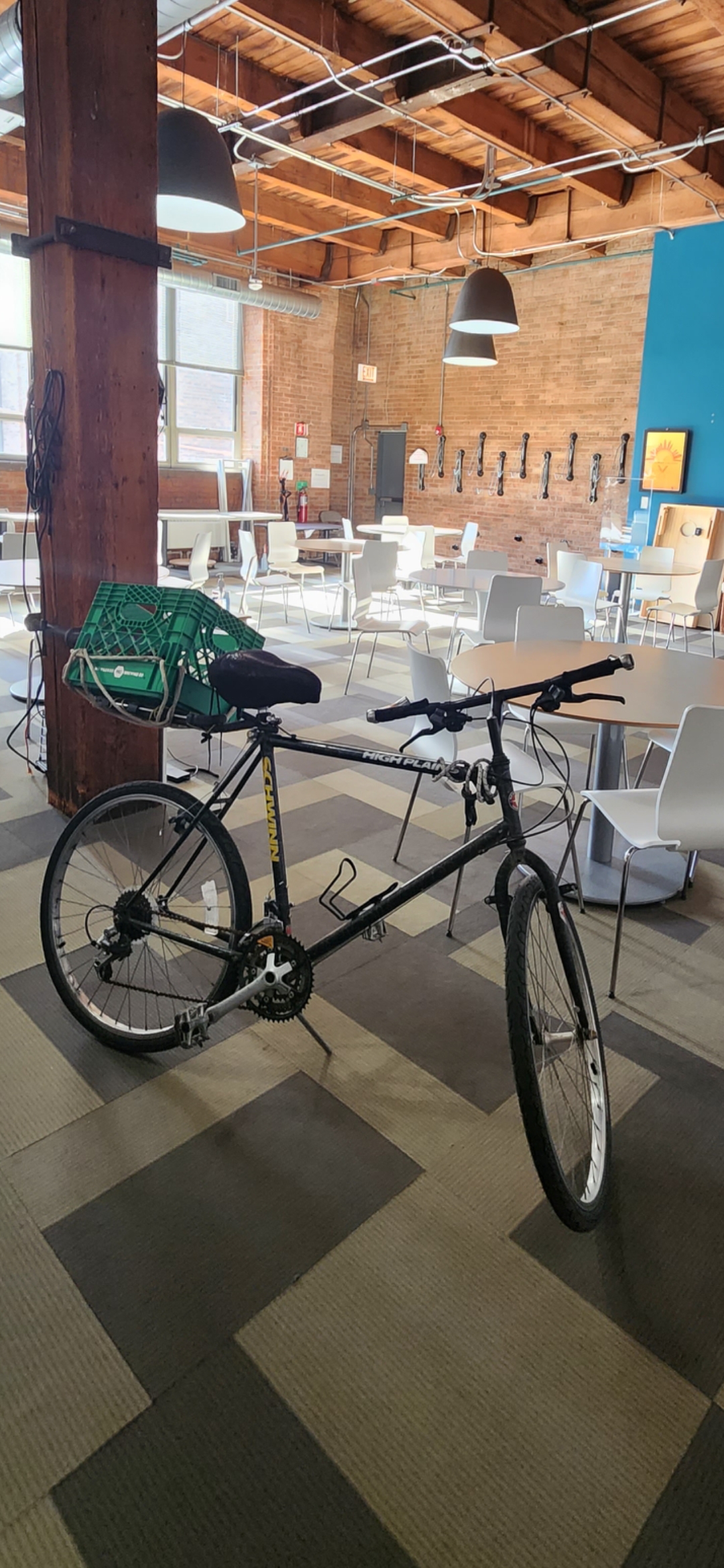 Schwinn RECOVERED