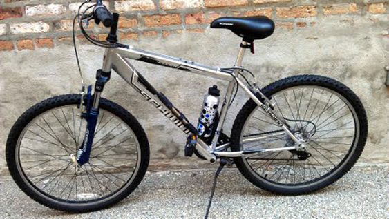 Schwinn Sidewinder
