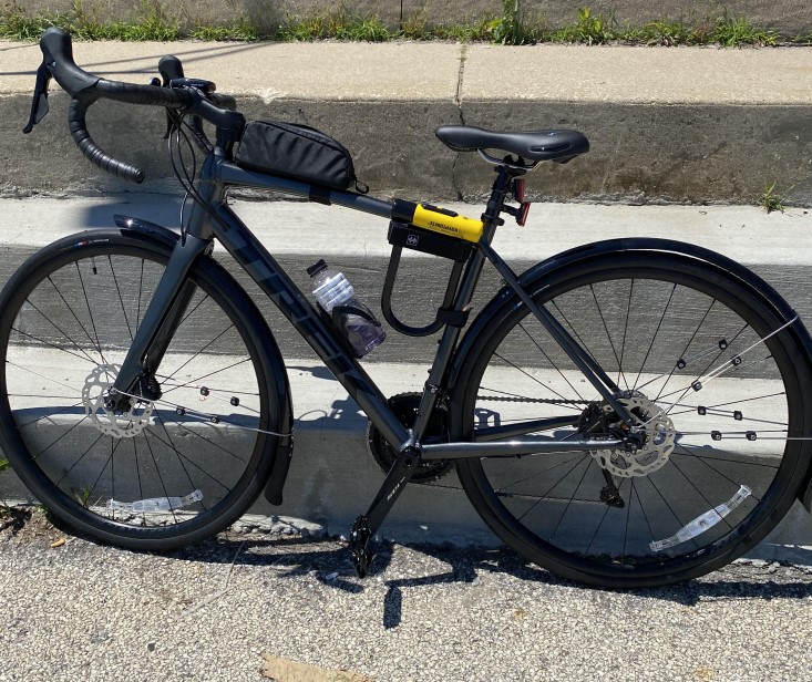 Trek Domane AL 5 Disc