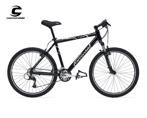 Cannondale F300