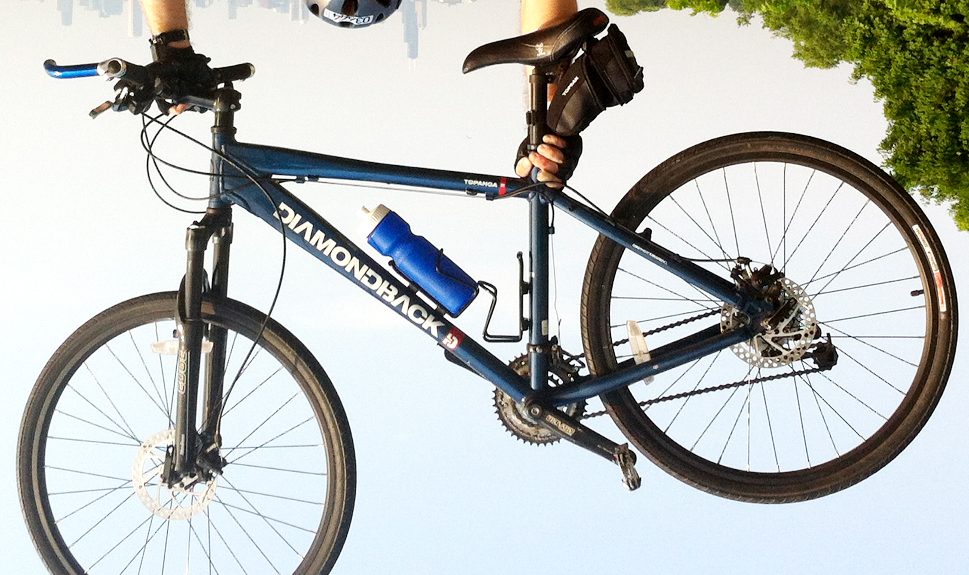 Diamondback Topanga