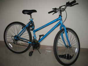 Mountain bike purchased from Target