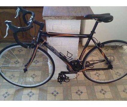 2010 Raleigh Road Bike