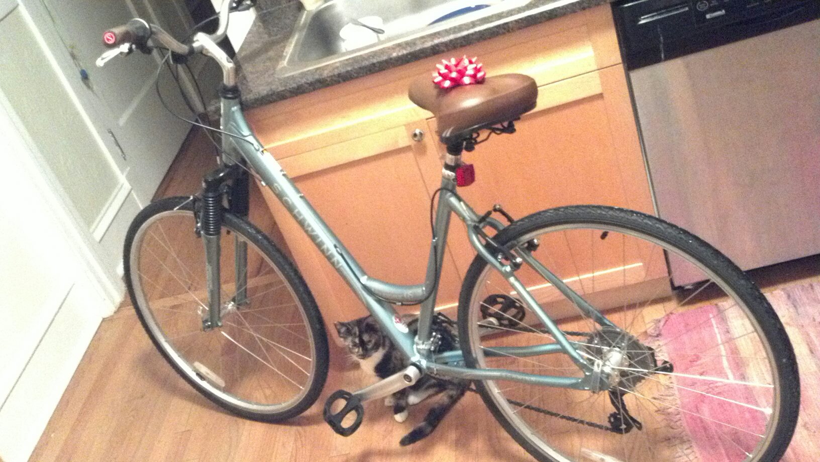 Women's Schwinn Hybrid