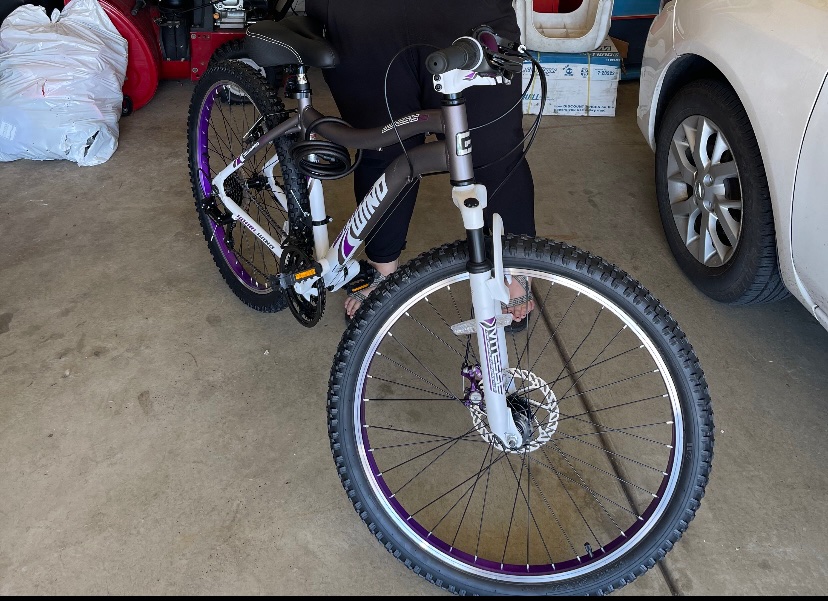 26" Ladies Whirlwind Mountain Bike