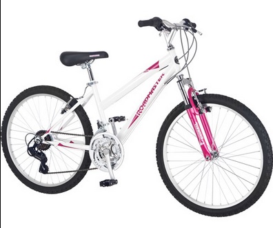 RoadMaster R3013WMA