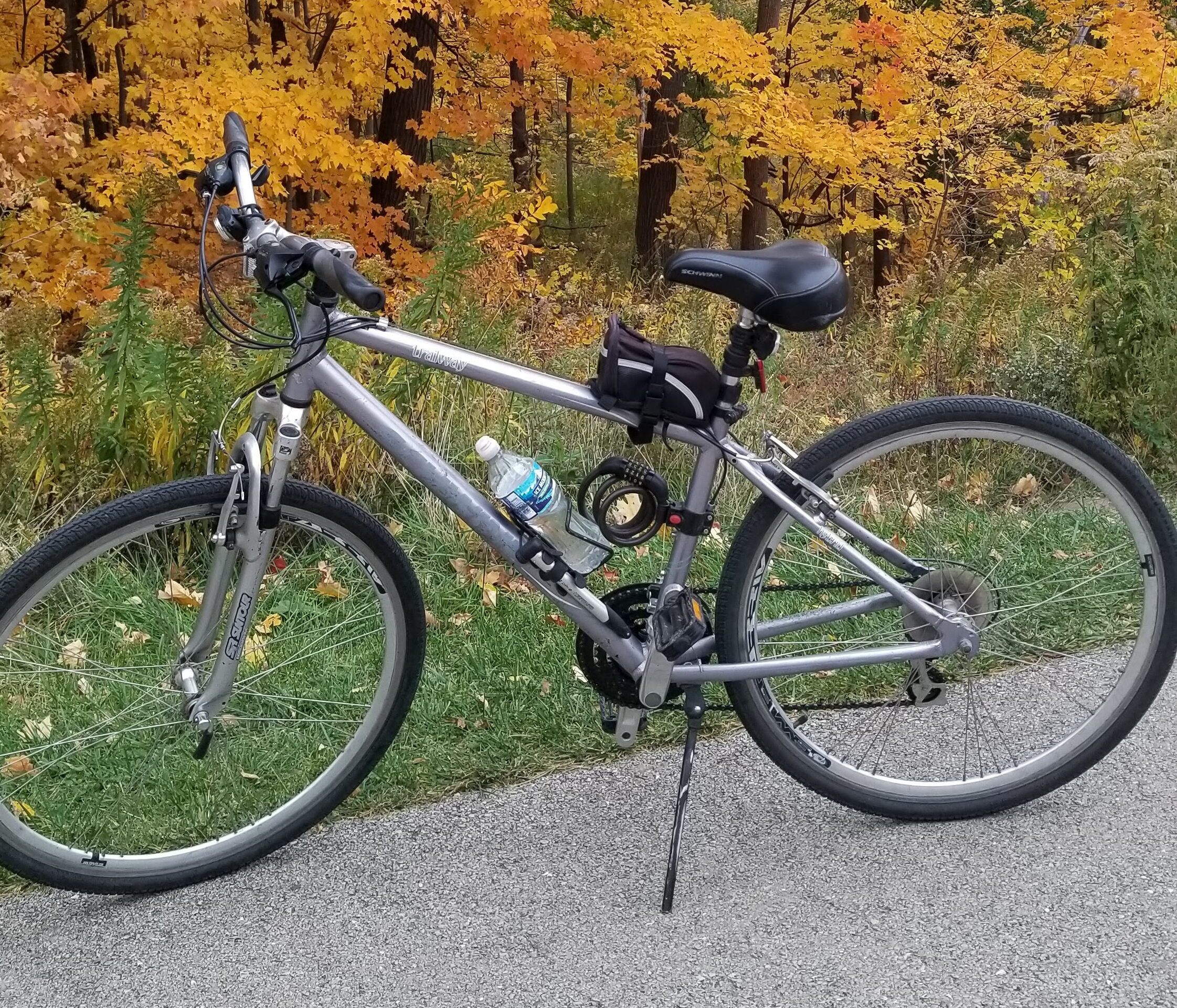 Schwinn Trailway