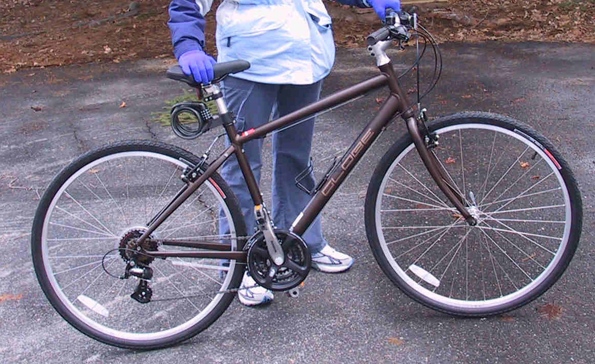 Specialized Globe
