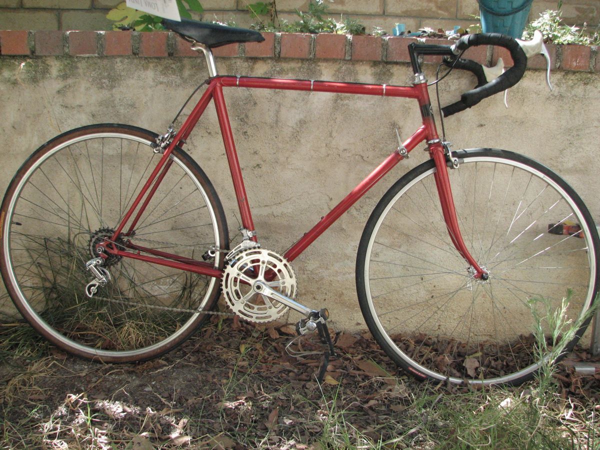Shogun Cromo
