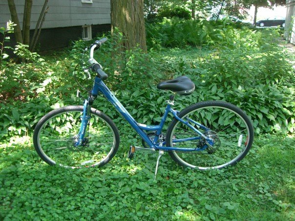 Schwinn comfort bike