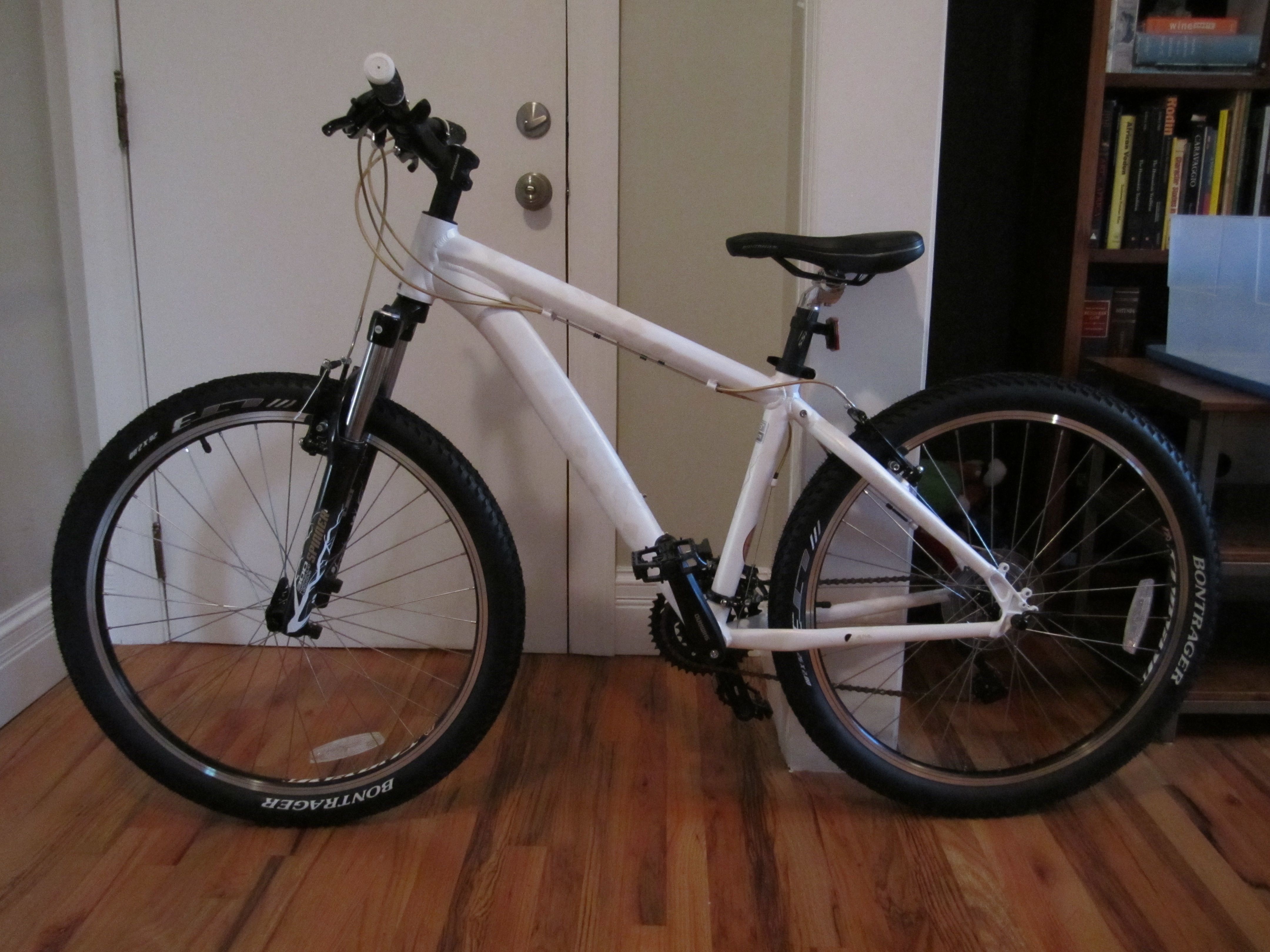 Trek Skye SL