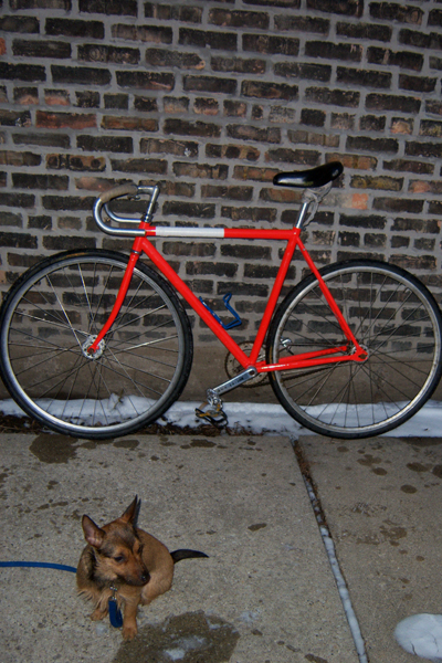 mercier kilo TT