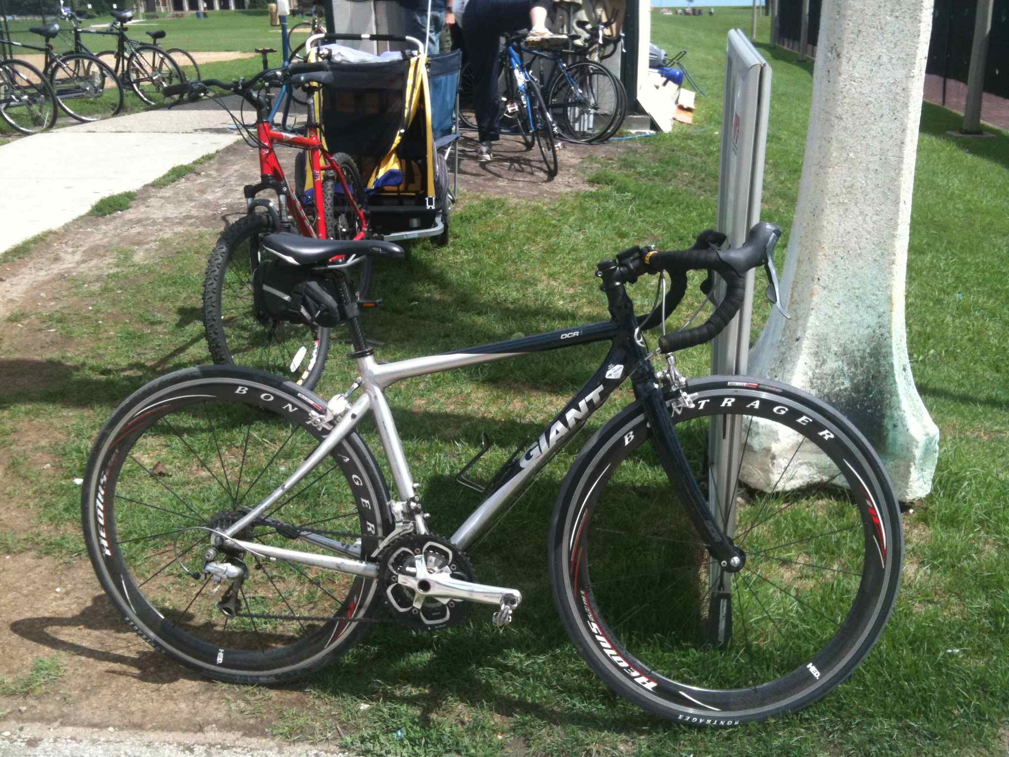 GIANT OCR