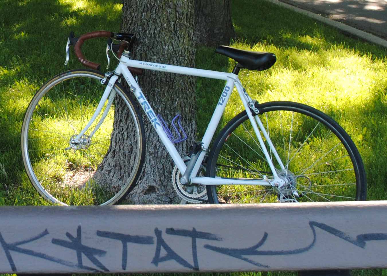 Trek 1200