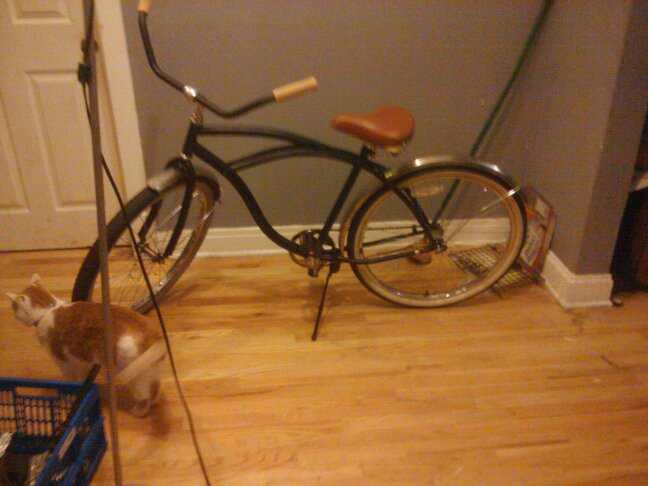 Thruster City Cruiser
